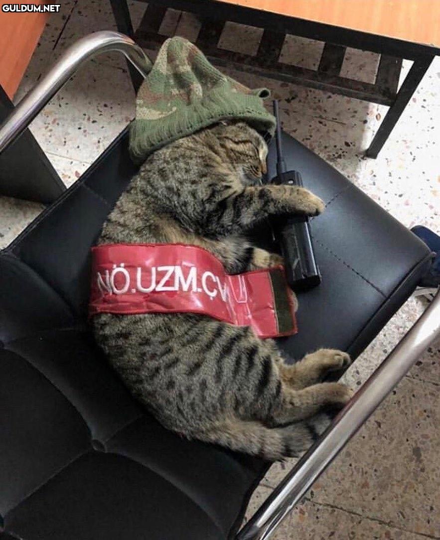 Asayiş pisikemal komutanım OUZMCW