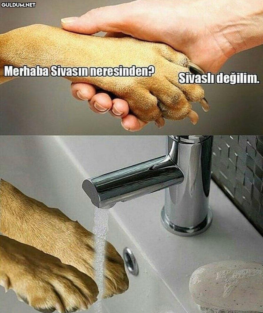 Merhaba Sivasınneresinden?...