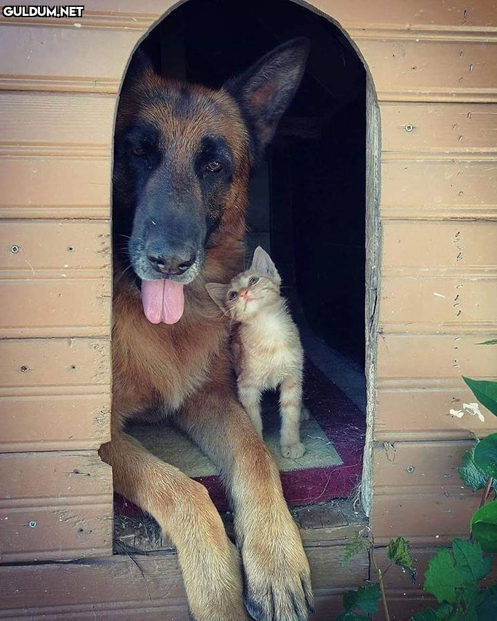 Günaydın ❤