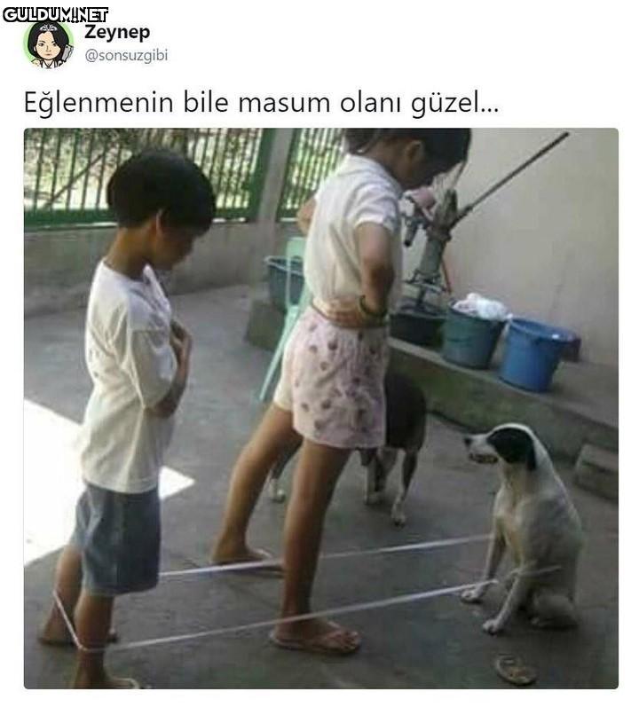 Zeynep @sonsuzgibi...