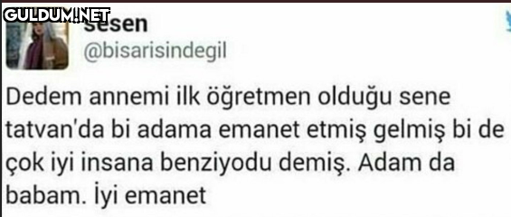 sesen @bisarisindegil...