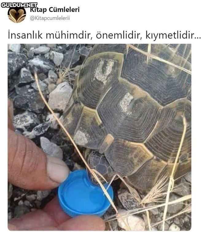 Kitap Cümleleri...