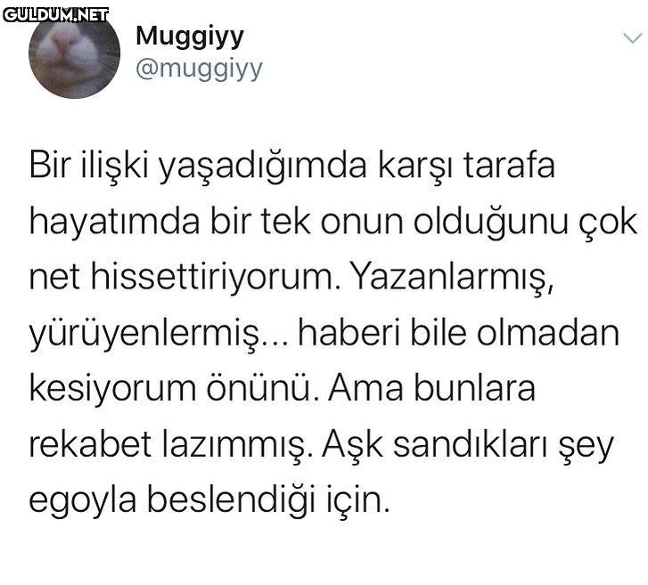 Muggiyy @muggiyy Bir...