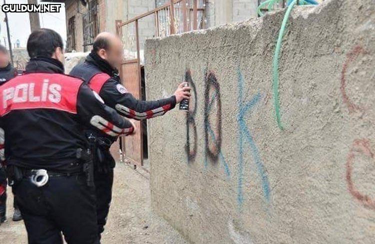 Siz nasıl bir kralsınız POLIS