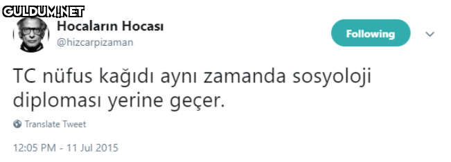 Hocaların Hocası Following...
