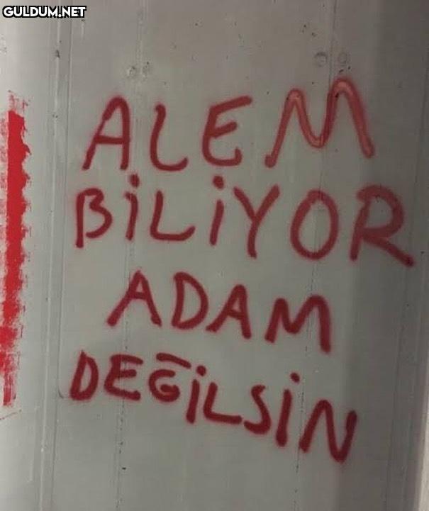 Sen kimi etiketleyeceğini...