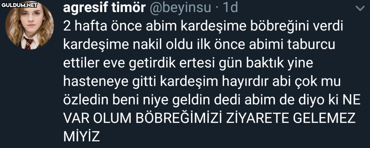 agresif timör @beyinsu ·...