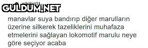 nihilist31 abatekanturs...