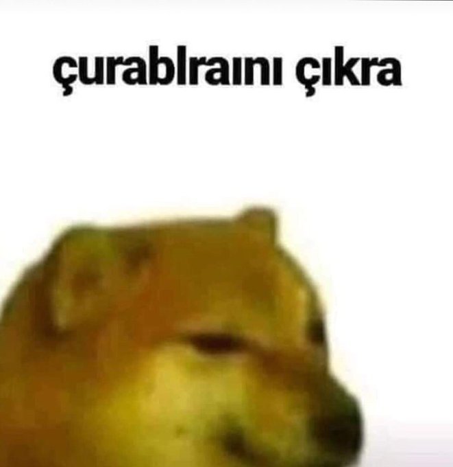 curablarını çıkra...