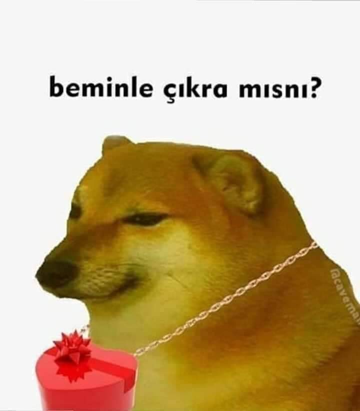 curablarını çıkra...