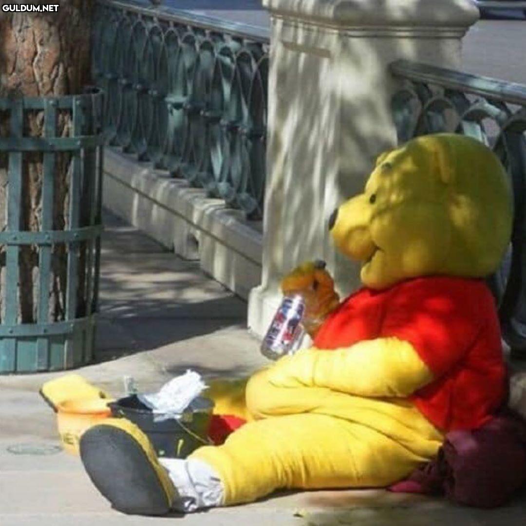 winnie the poor