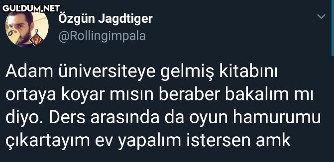 Özgün Jagdtiger...
