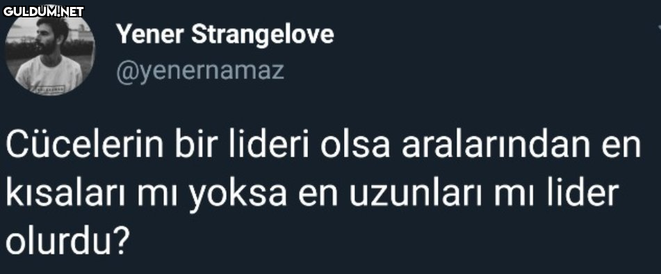 Yener Strangelove...