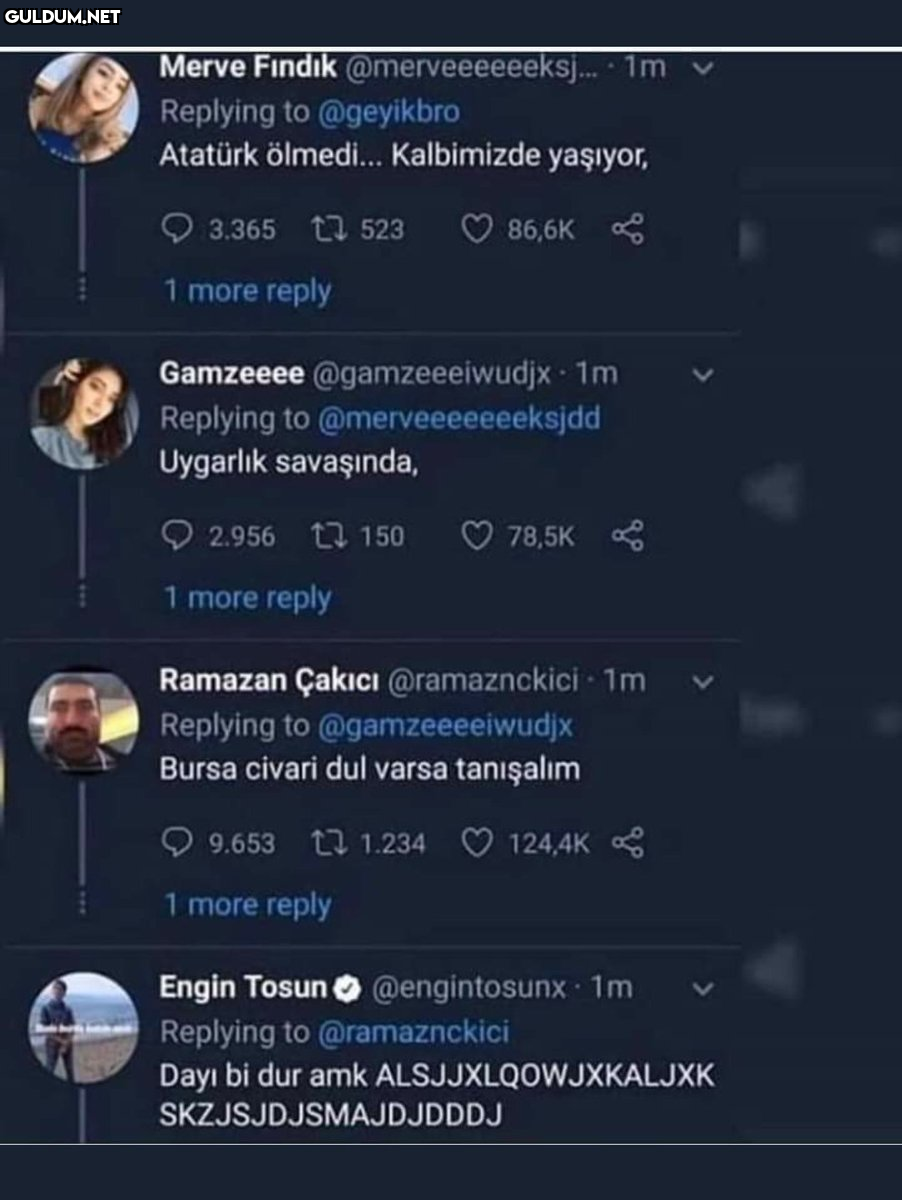 Merve Findık...