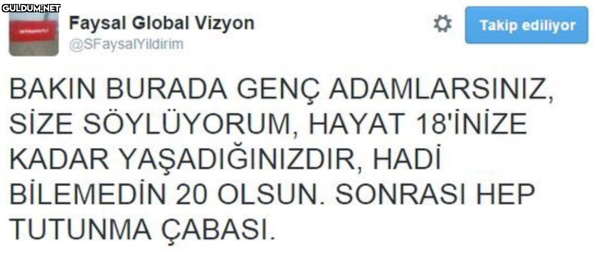 Faysal Global Vizyon...