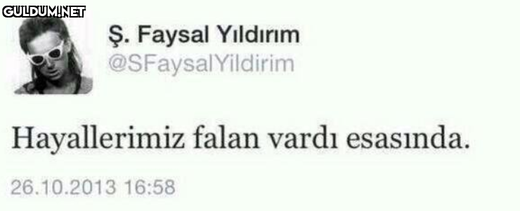Ş. Faysal Yıldırım...