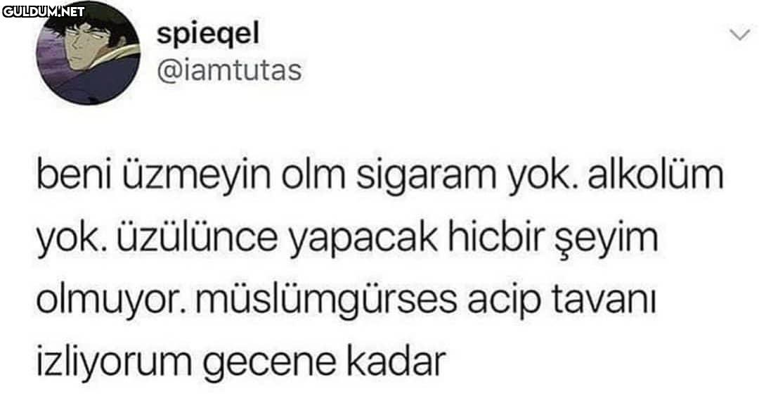 spieqel @iamtutas beni...