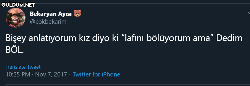 Bekaryan Ayısı @cokbekarim...
