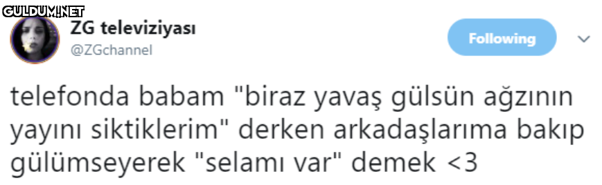 ZG televiziyası Following...