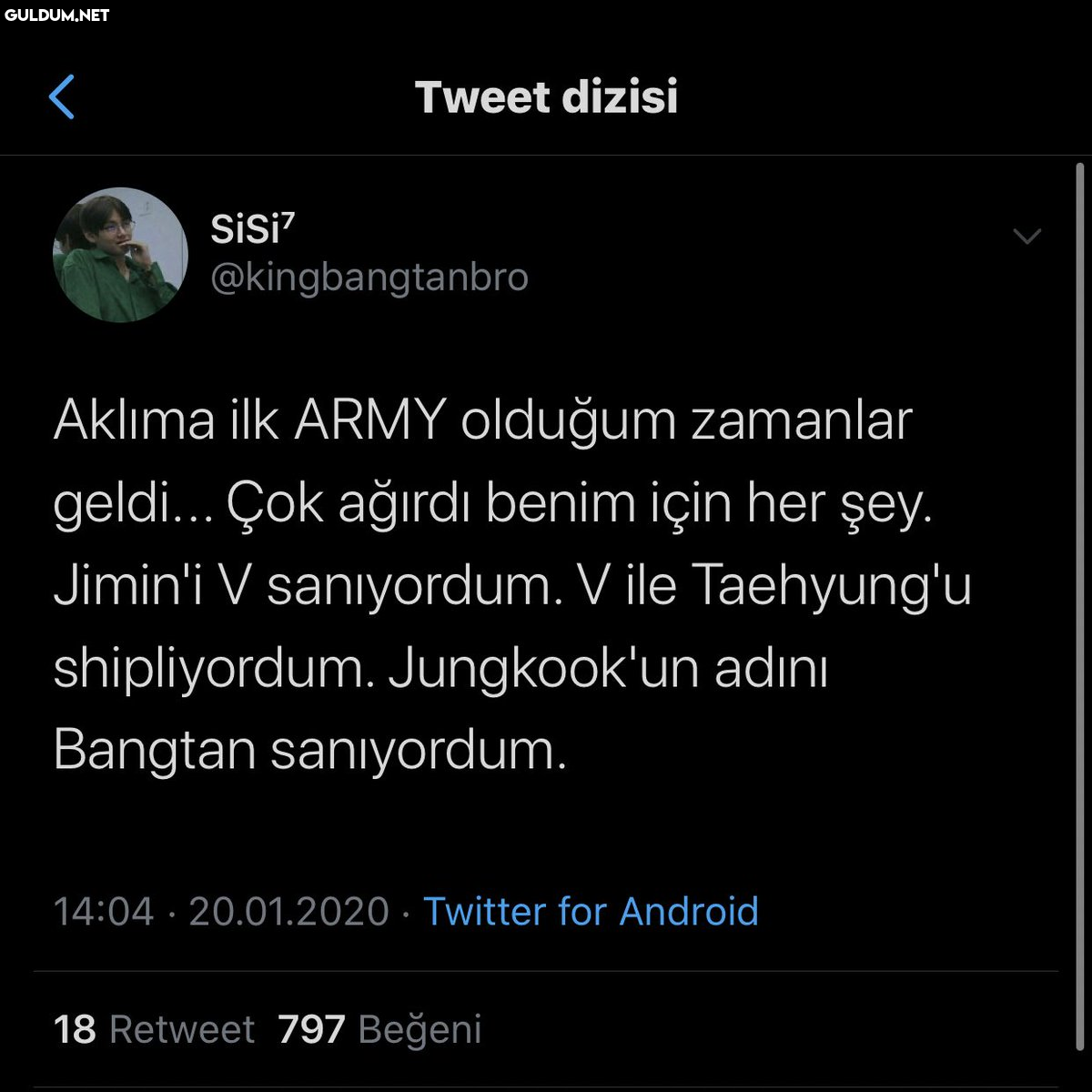 Tweet dizisi SiSi?...