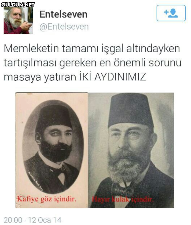 Entelseven @Entelseven...