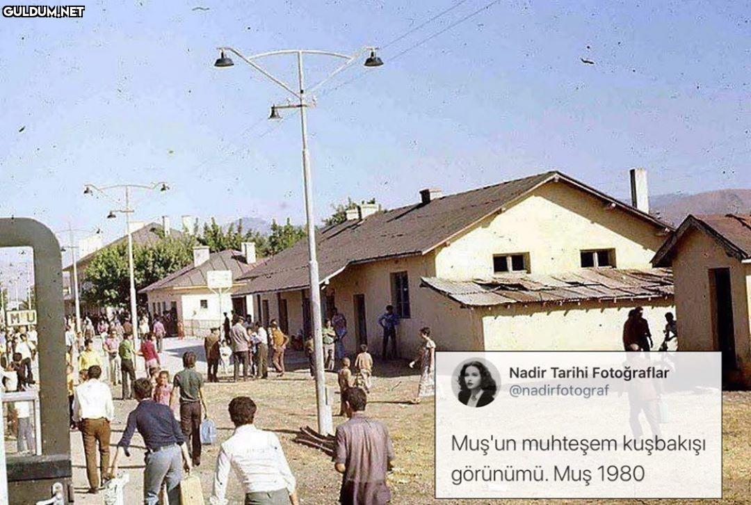 Hangi kuş bu devekuşu mu...