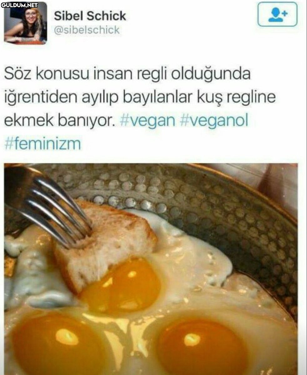 Sibel Schick @sibelschick...