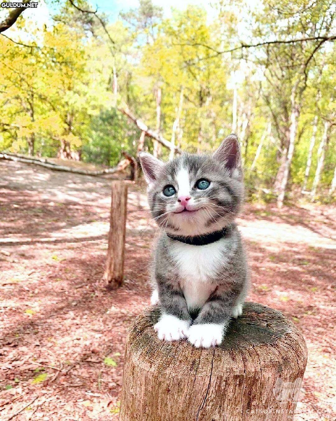 Günaydın 😊
-
📷...