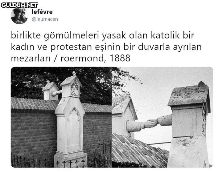 lefévre @leumacen birlikte...