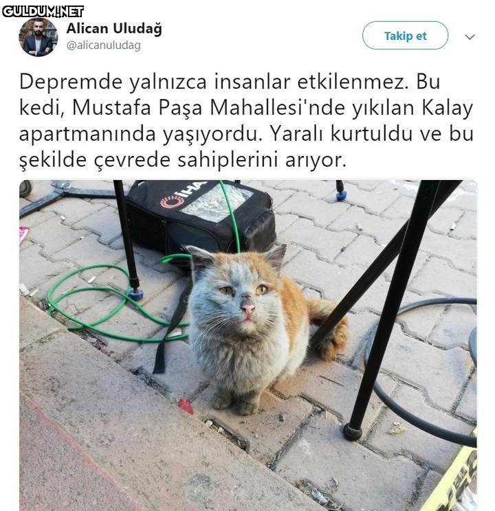 Alican Uludağ Takip et...