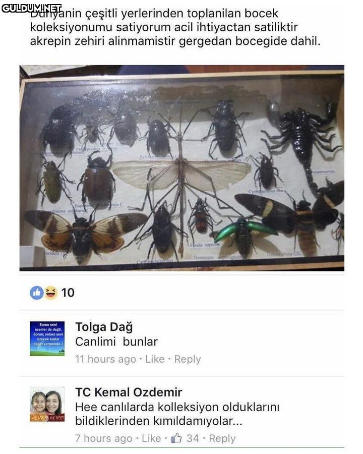Dunyanin çeşitli...