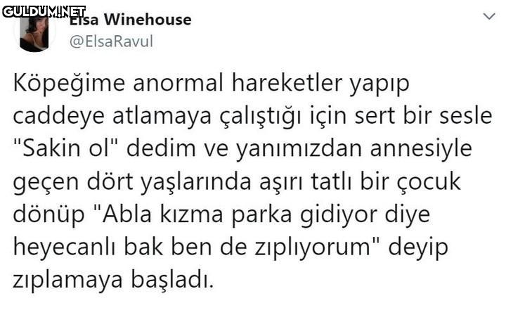 Elsa Winehouse @ElsaRavul...