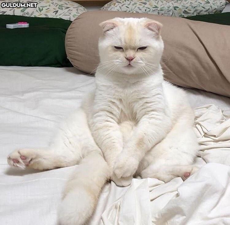 uyku tutmuyor mood