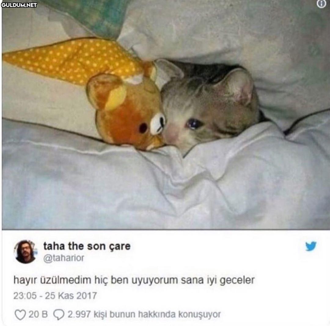 Popular post