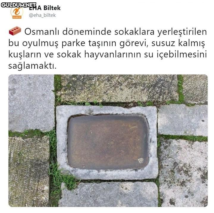 EHA Biltek @eha_biltek...
