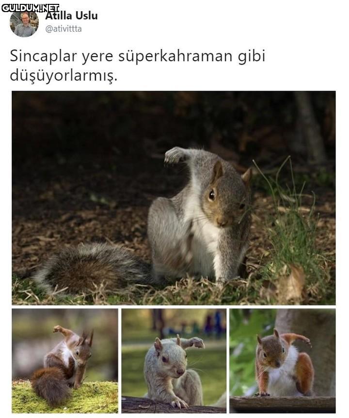 Atilla Uslu @ativittta...