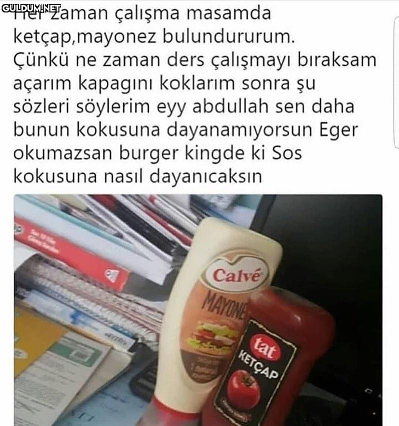 Her zaman çalışma masamda...