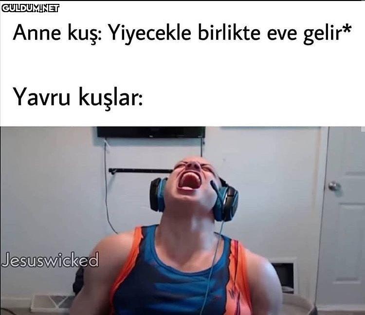 Anne kuş: Yiyecekle...