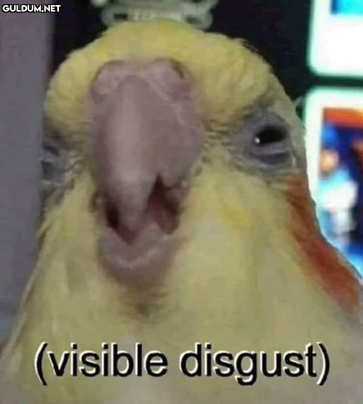 Popular post