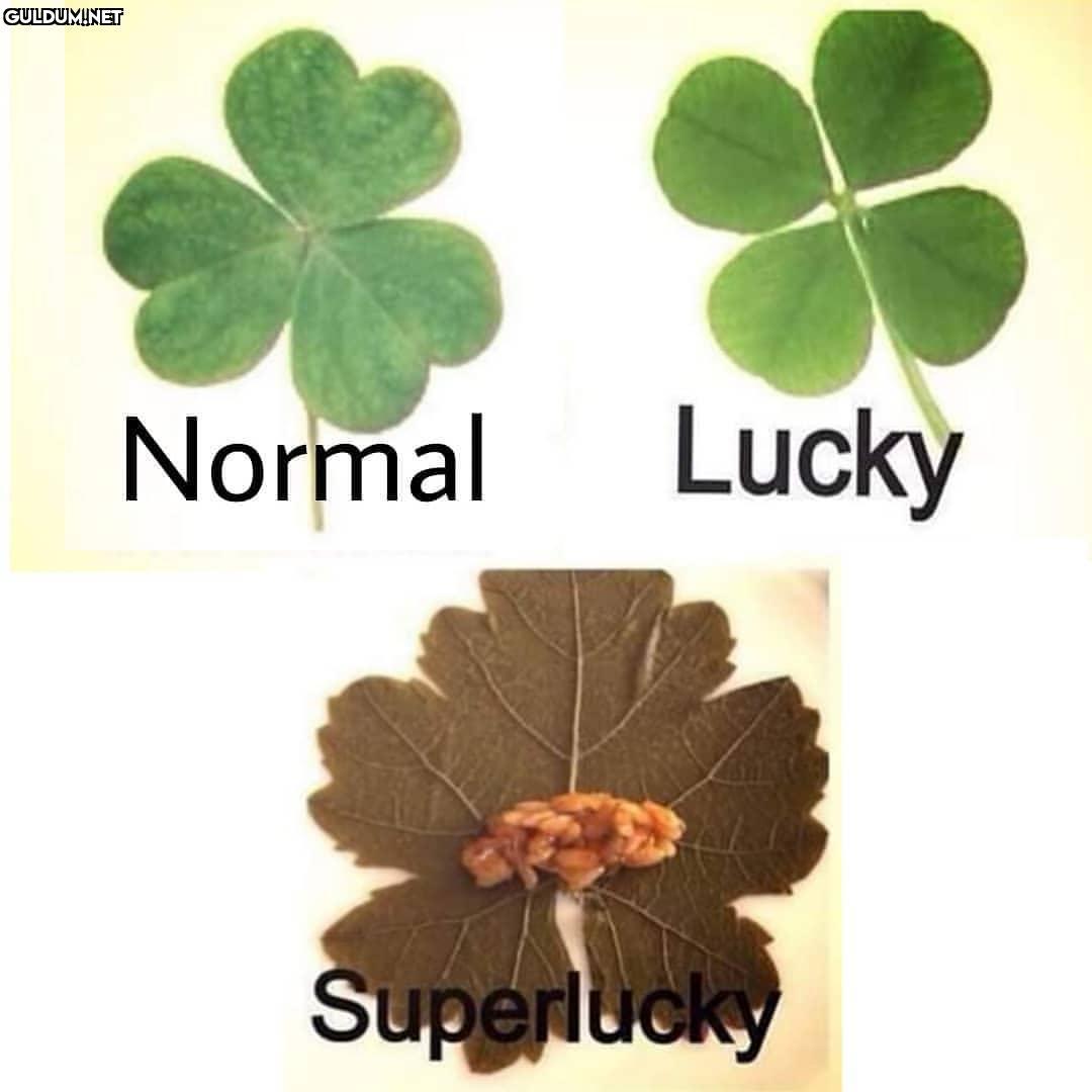 Popular post