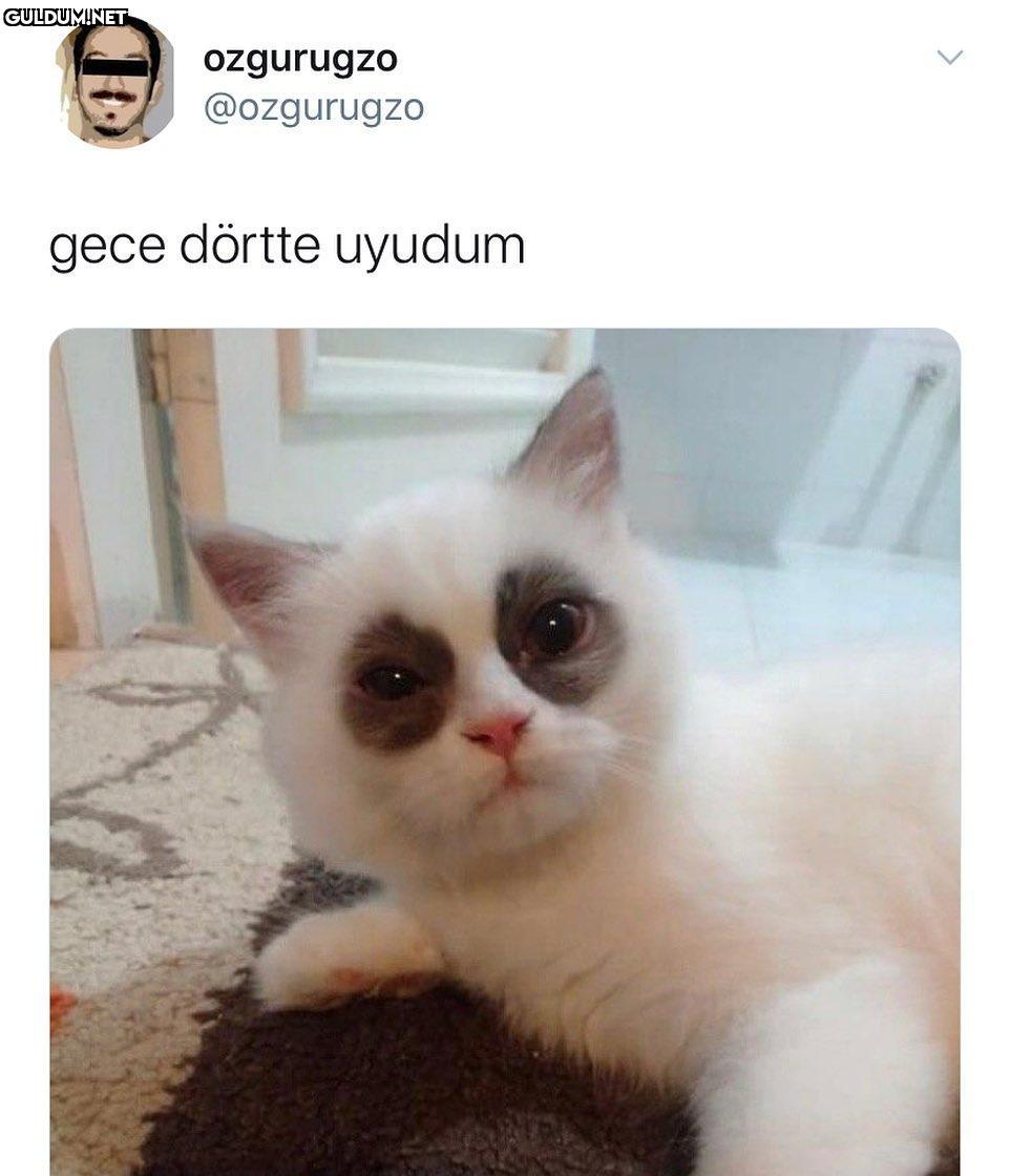 ozgurugzo @ozgurugzo gece...