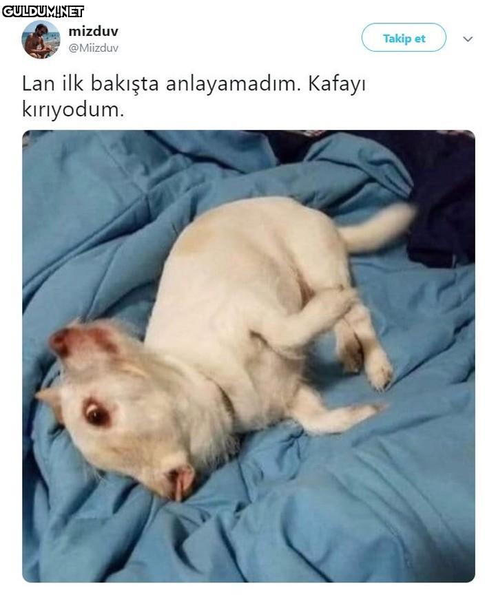 3 dakika sonra farkettim 😂...