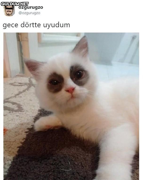 ozgurugzo @ozgurugzo gece...