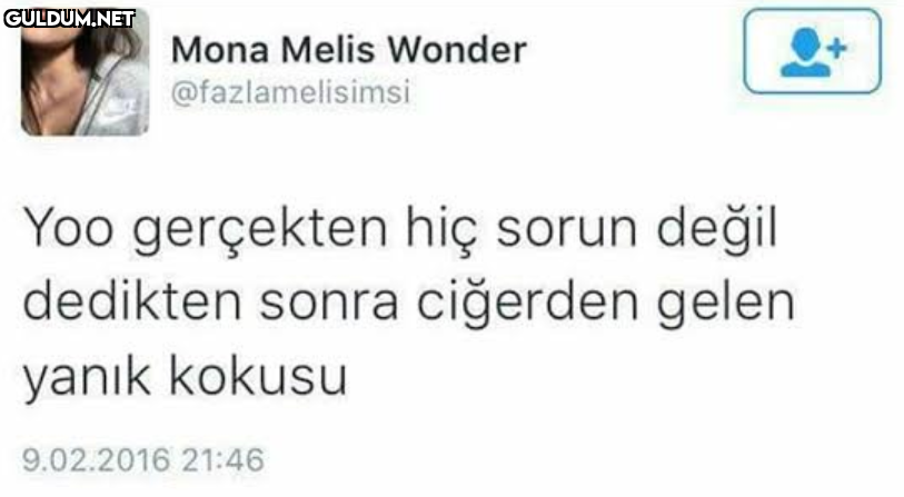 Mona Melis Wonder...