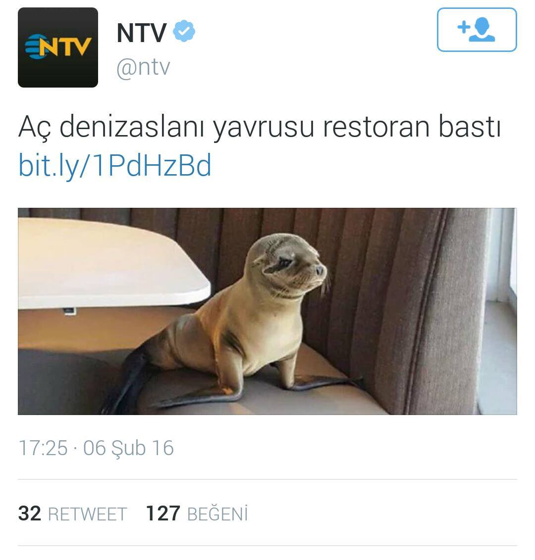 NTV

aç denizaslanı...