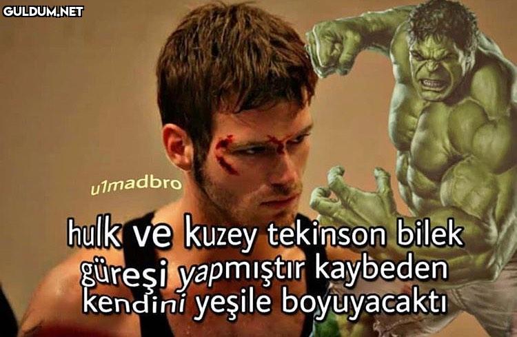 ulmadbro hulk ve kuzey...