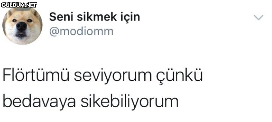 Seni sikmek için @modiomm...