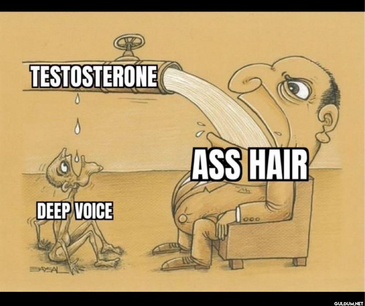 TESTOSTERONE DEEP VOICE...