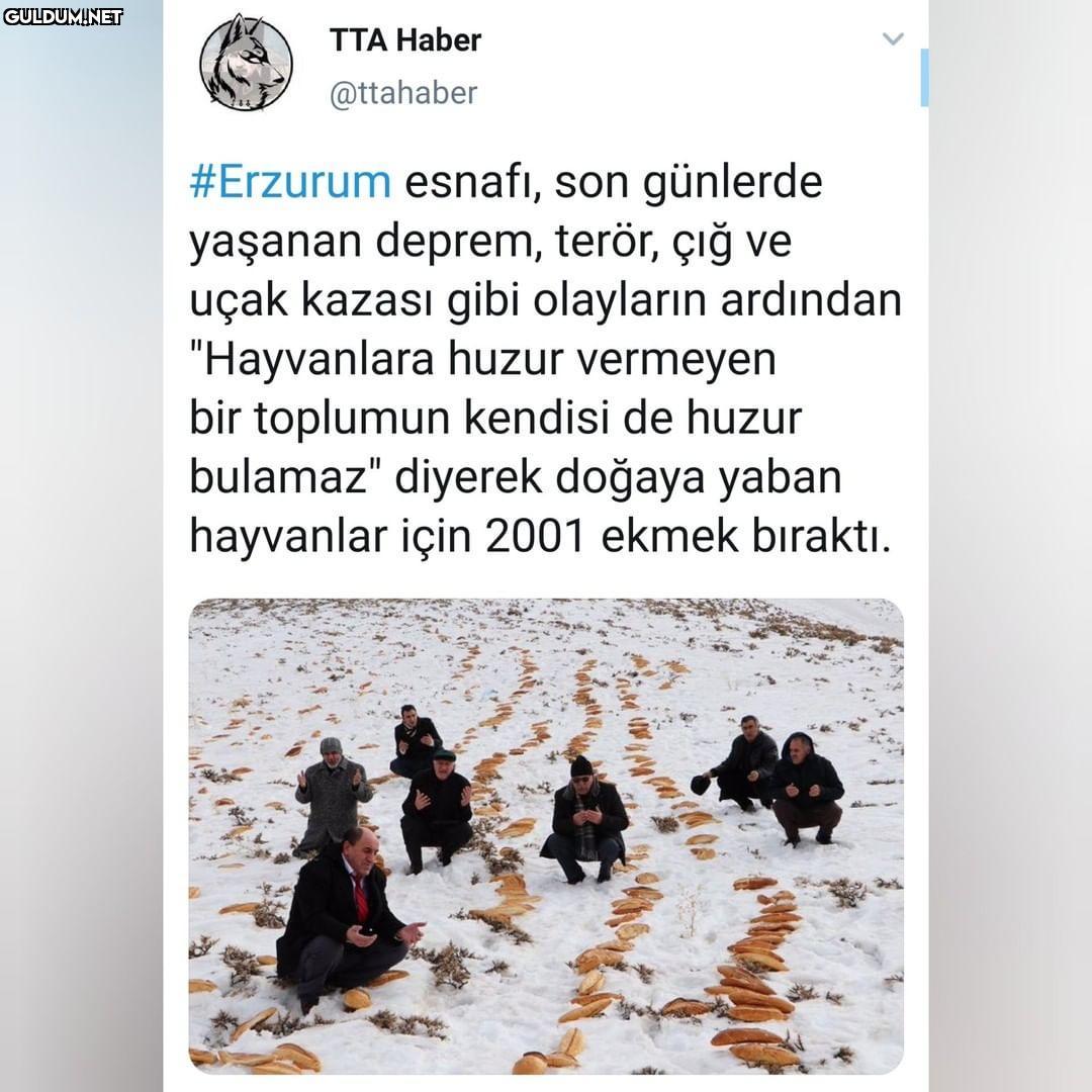 TTA Haber @ttahaber...