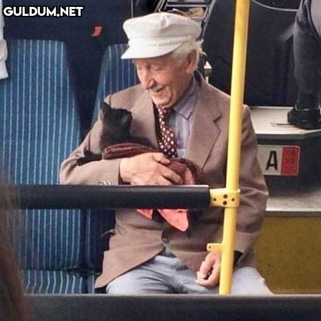 kucağınca kedi olan dede...